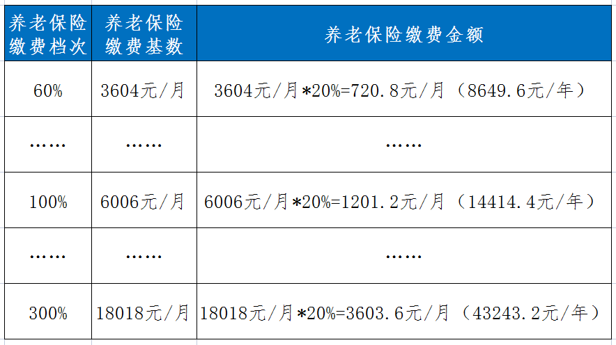 长沙社保怎么查(长沙社保怎么查询个人账户)