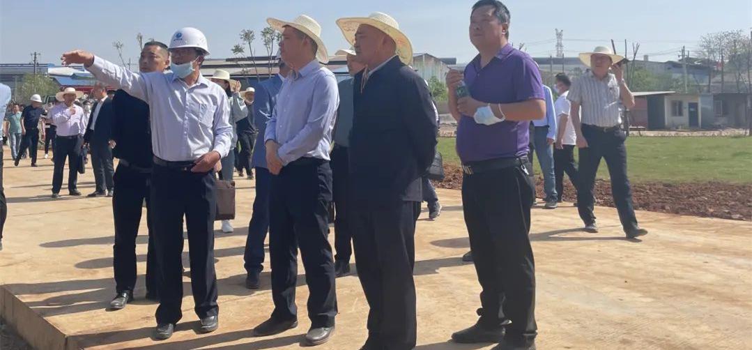 晏勇调研河口临港产业园区建设