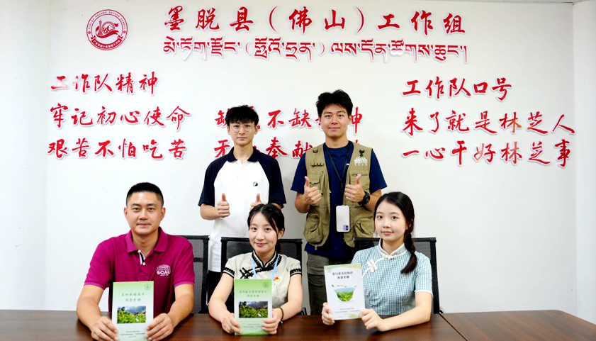 项目名称:援藏粤茶——凤凰单丛铺就粤茶援藏兴边富民路上下滑动查看