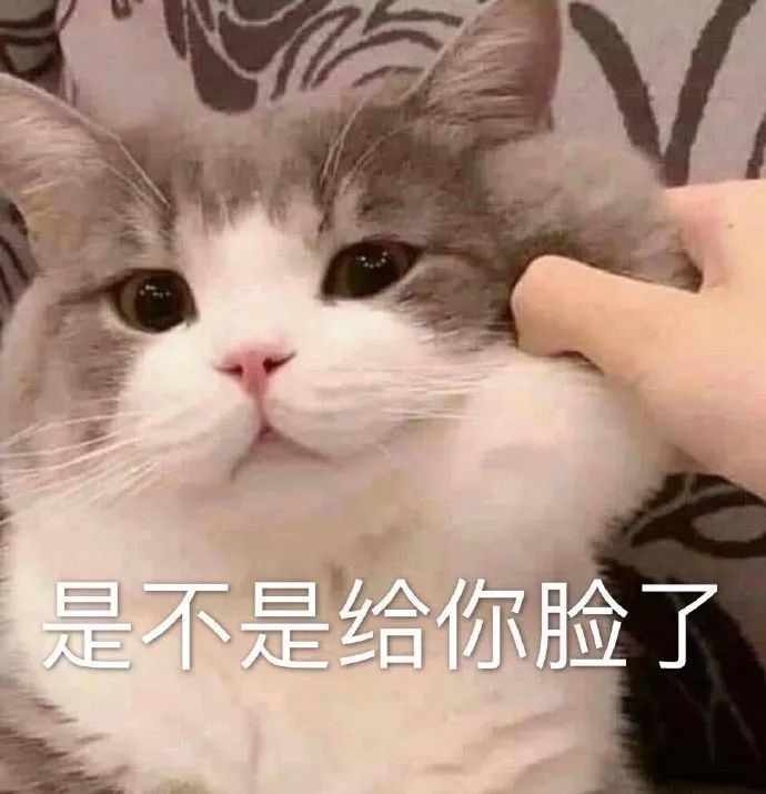 表情包丨哼~寄己玩就寄己玩