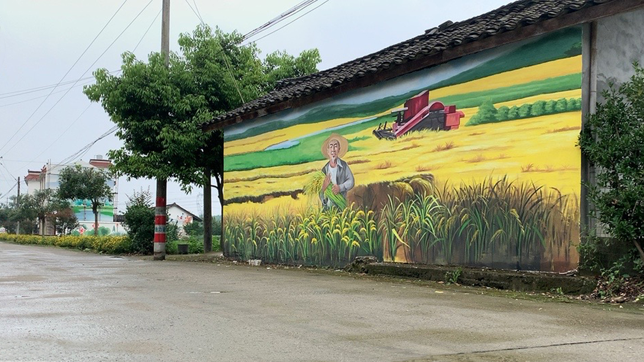 廣元牆體彩繪,廣元美麗鄉村牆畫,廣元手繪牆塗鴉