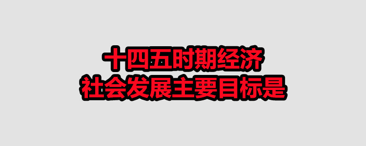 十四五时期经济社会发展主要目标是