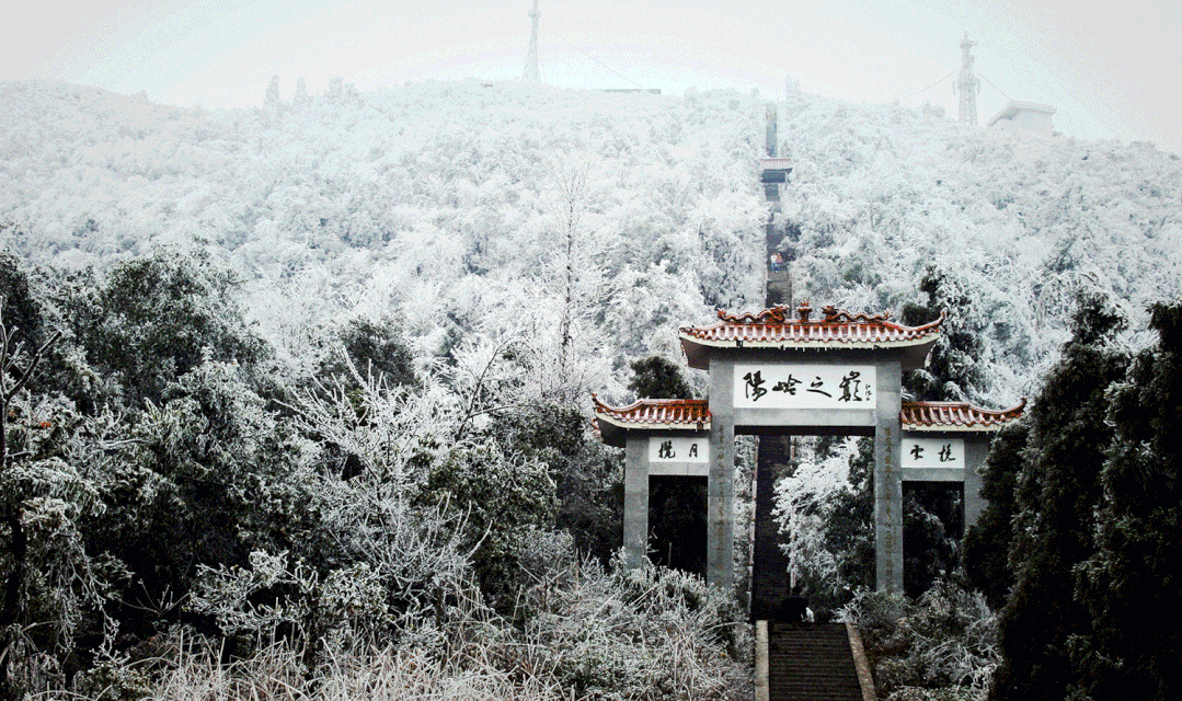 期待元旦阳明山活动精彩纷呈