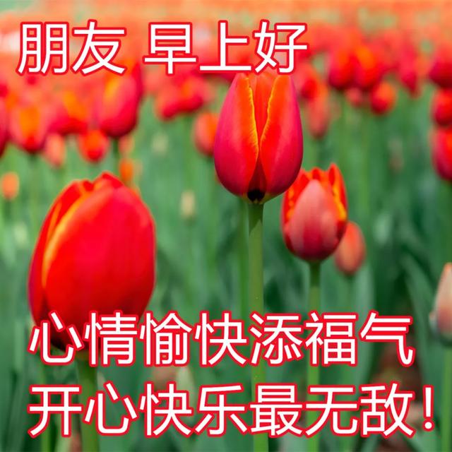 适合所有人的早安祝福图片 日常早安心语问候