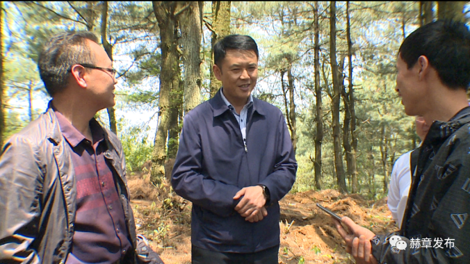 赫章县委书记颜岭到平山镇,水塘堡乡调研林下经济产业发展并开展巡林