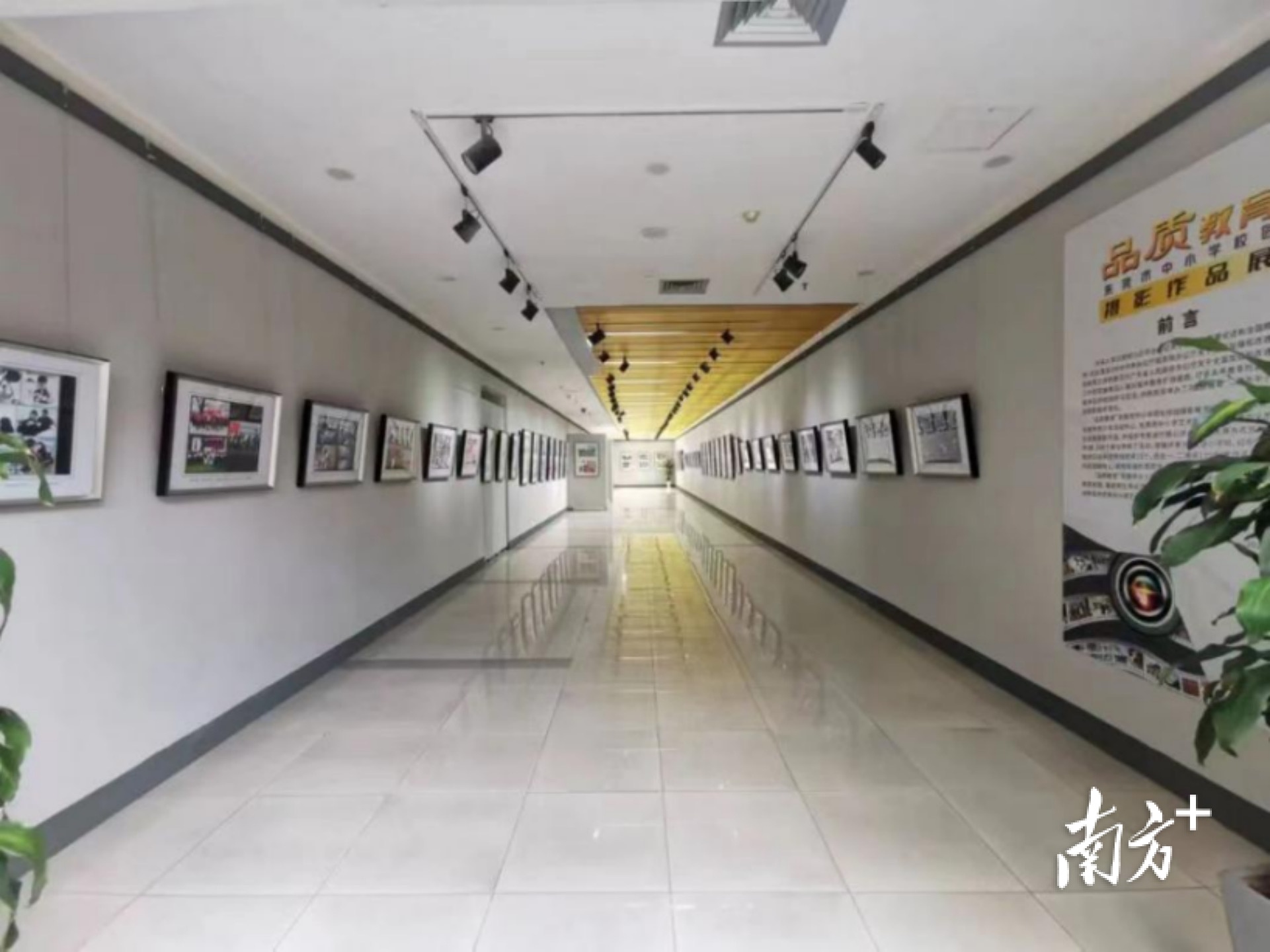 专访|谢洪涛:优化"赛道"再出发,引领学校美育工作更专业发展