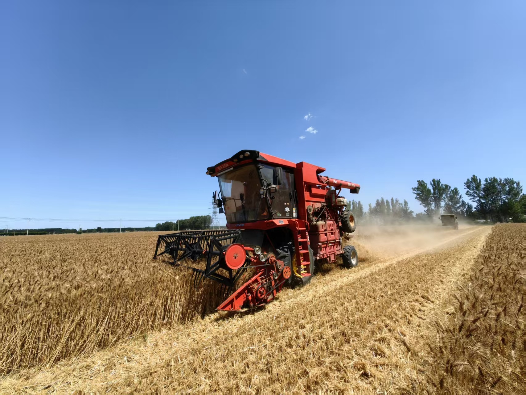 天津市2025年小麦机收圆满收官