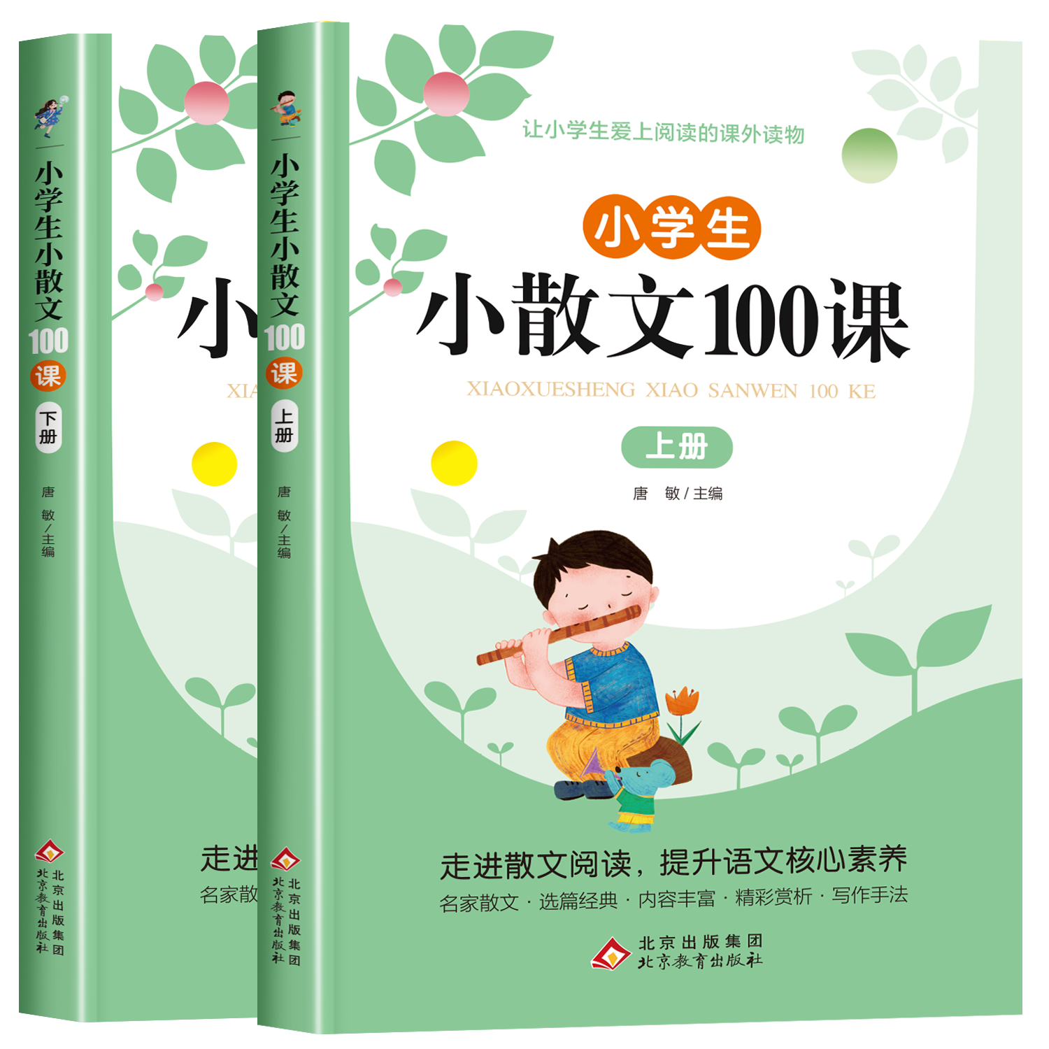 推荐几套适合小学生精读的散文书