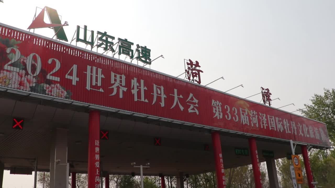 菏泽在高速口为游客送去一束牡丹花