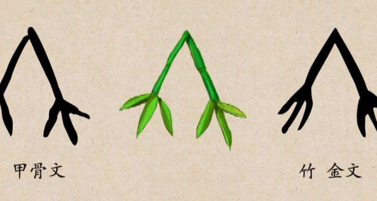竹的象形字