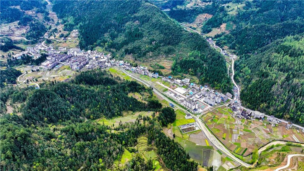 实施乡村振兴·打造彭水样板|太原镇打造农旅文旅融合示范区