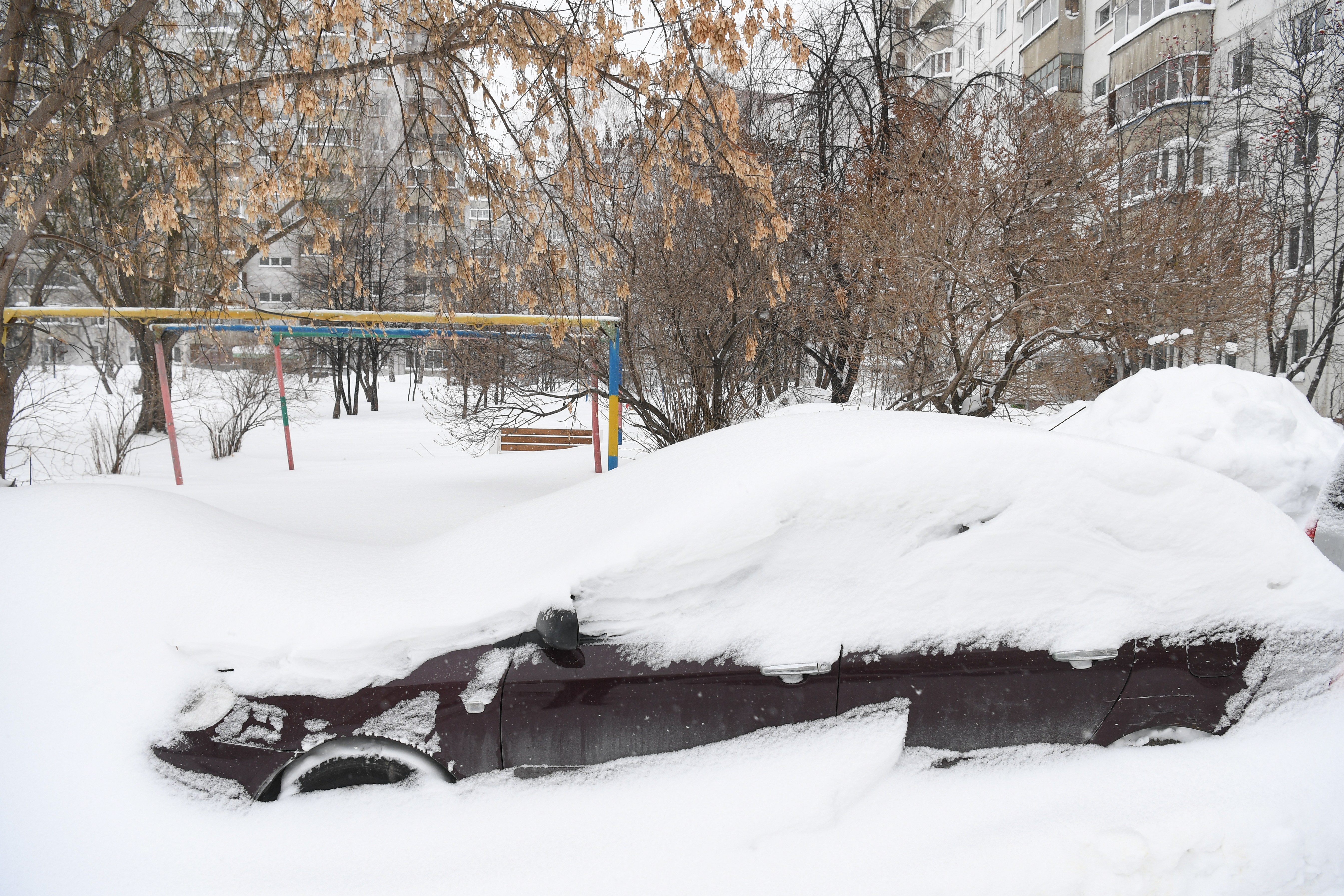 新西伯利亚的雪(2)