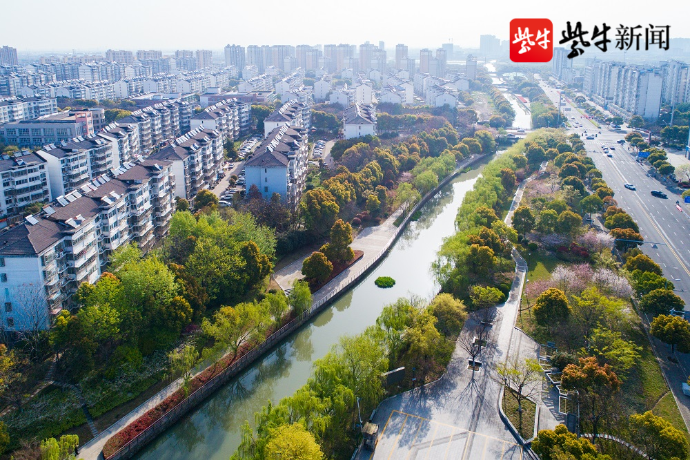 视频|视觉盛宴!跟着摄影师的镜头欣赏常州新桥的春天