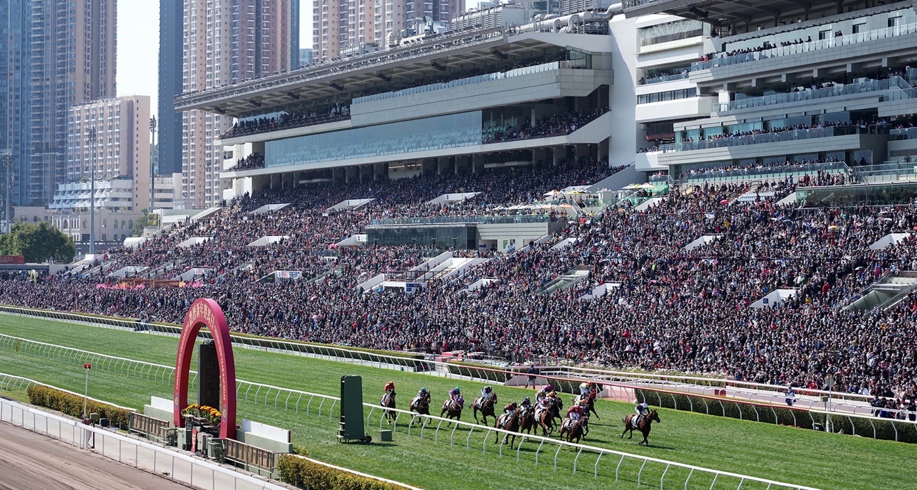 香港赛马贺新春,入场人数创三年来新高