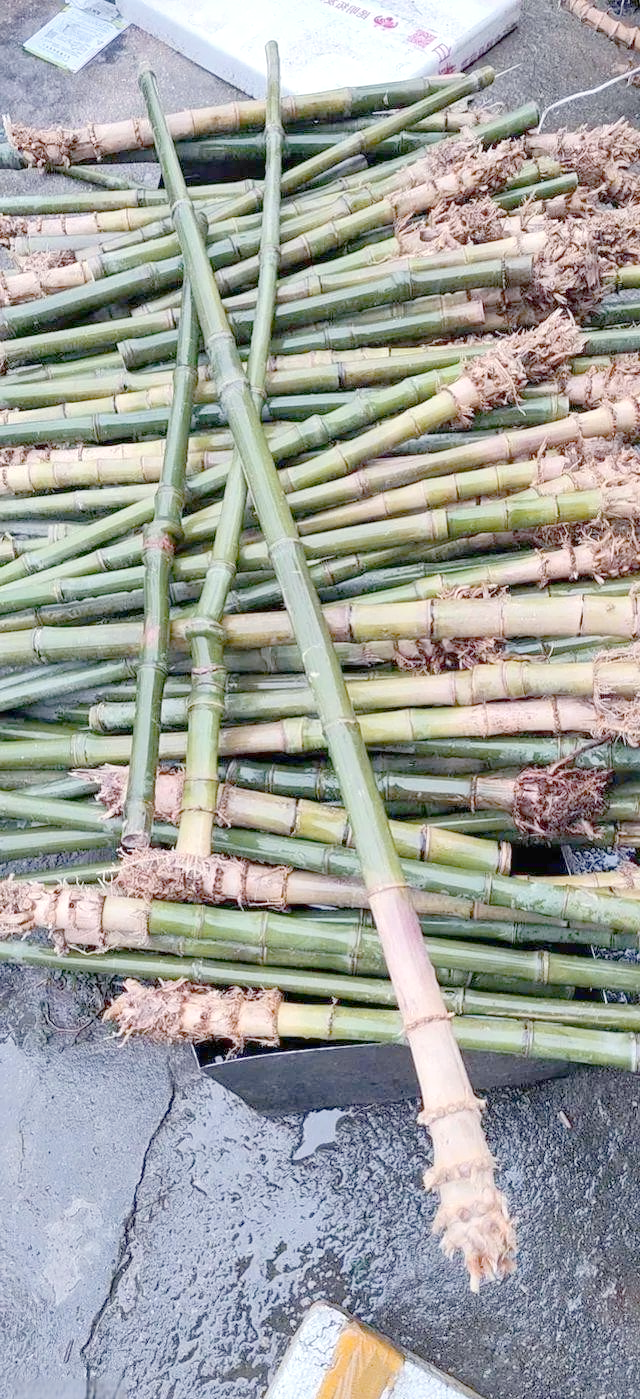 实心竹:文玩圈的新宠与多种可能