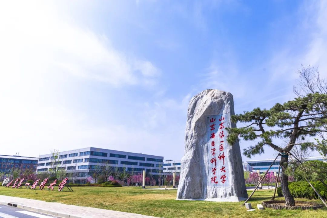 山东医科大学 新校区图片