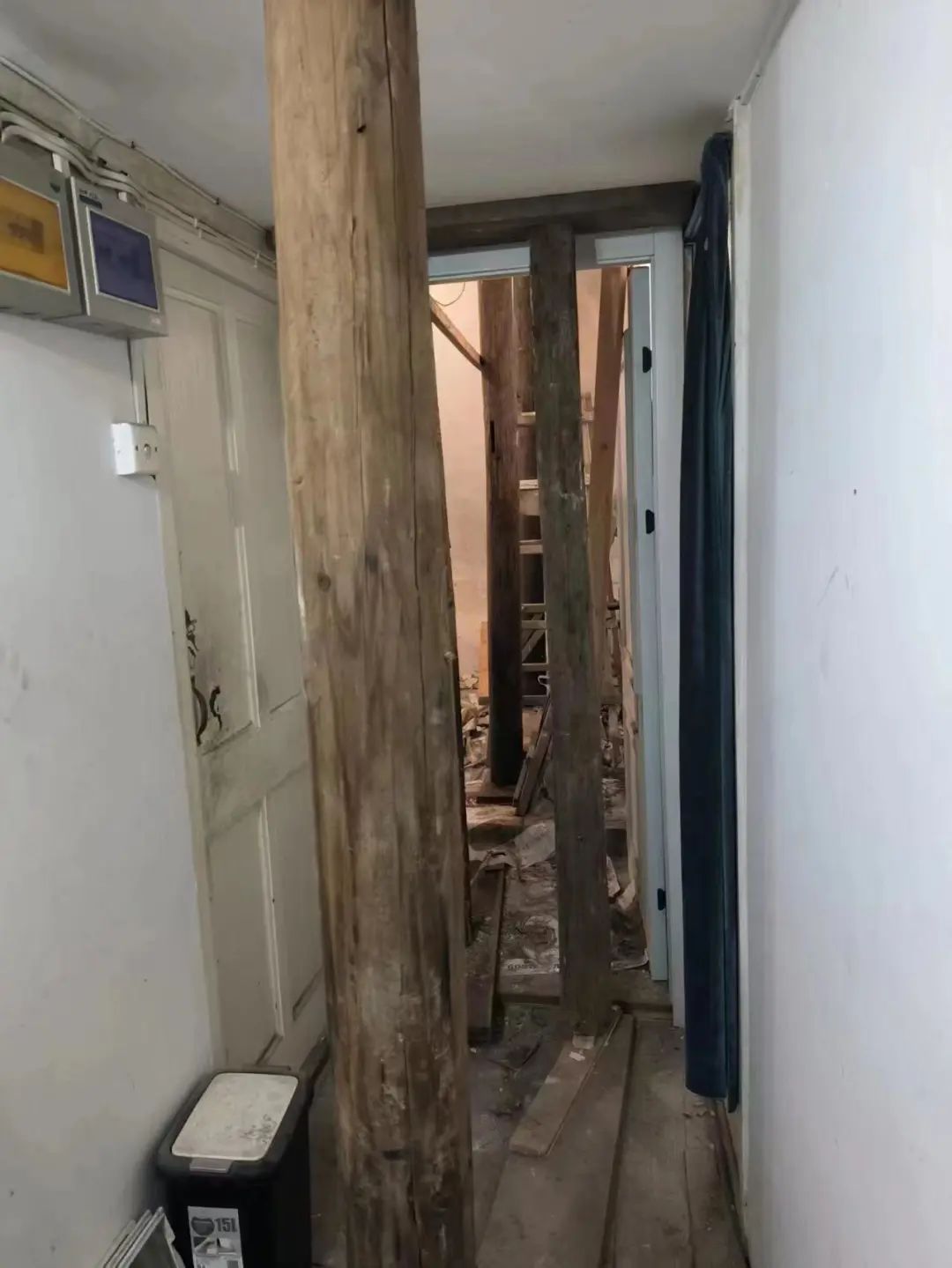 白蚁蛀空老房梁,修缮及时解危急