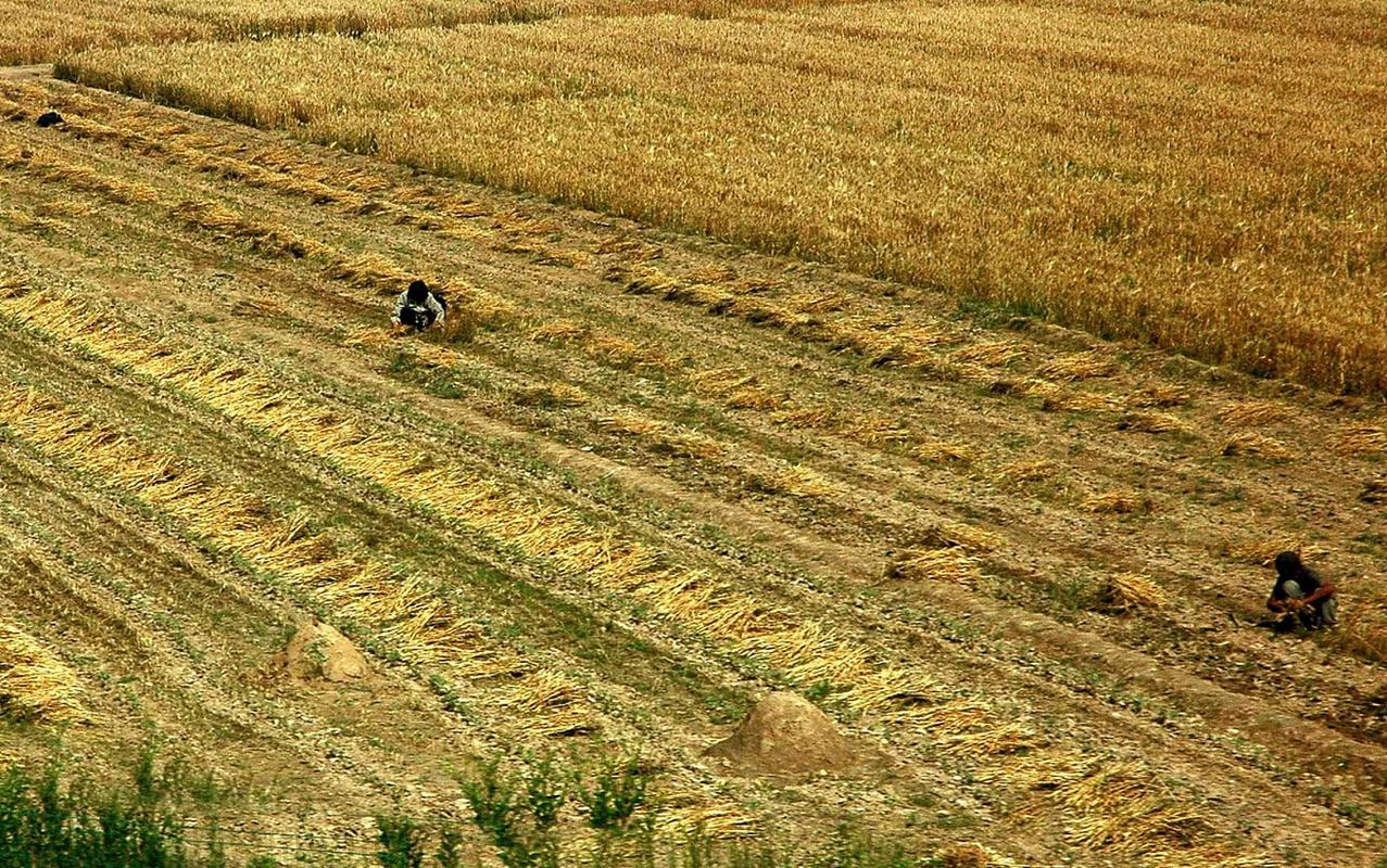 绥化市天气在线 绥化市天气在线