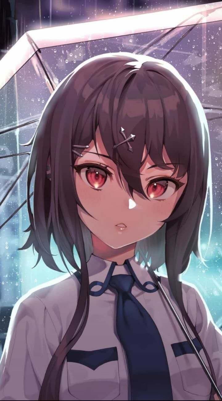 蝶恋花:图片收藏