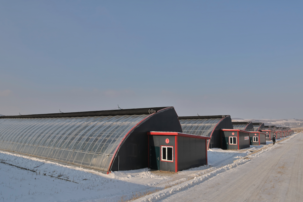 新型双层日光温室大棚:加速乡村振兴的新引擎