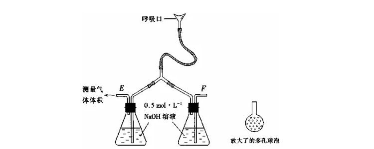 多孔球泡的作用是什麼?