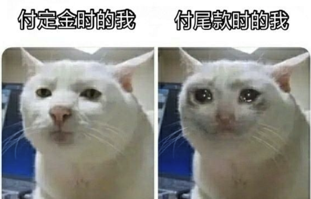 "付尾款"冲上热搜!网友吐槽:下次能不能不熬夜?