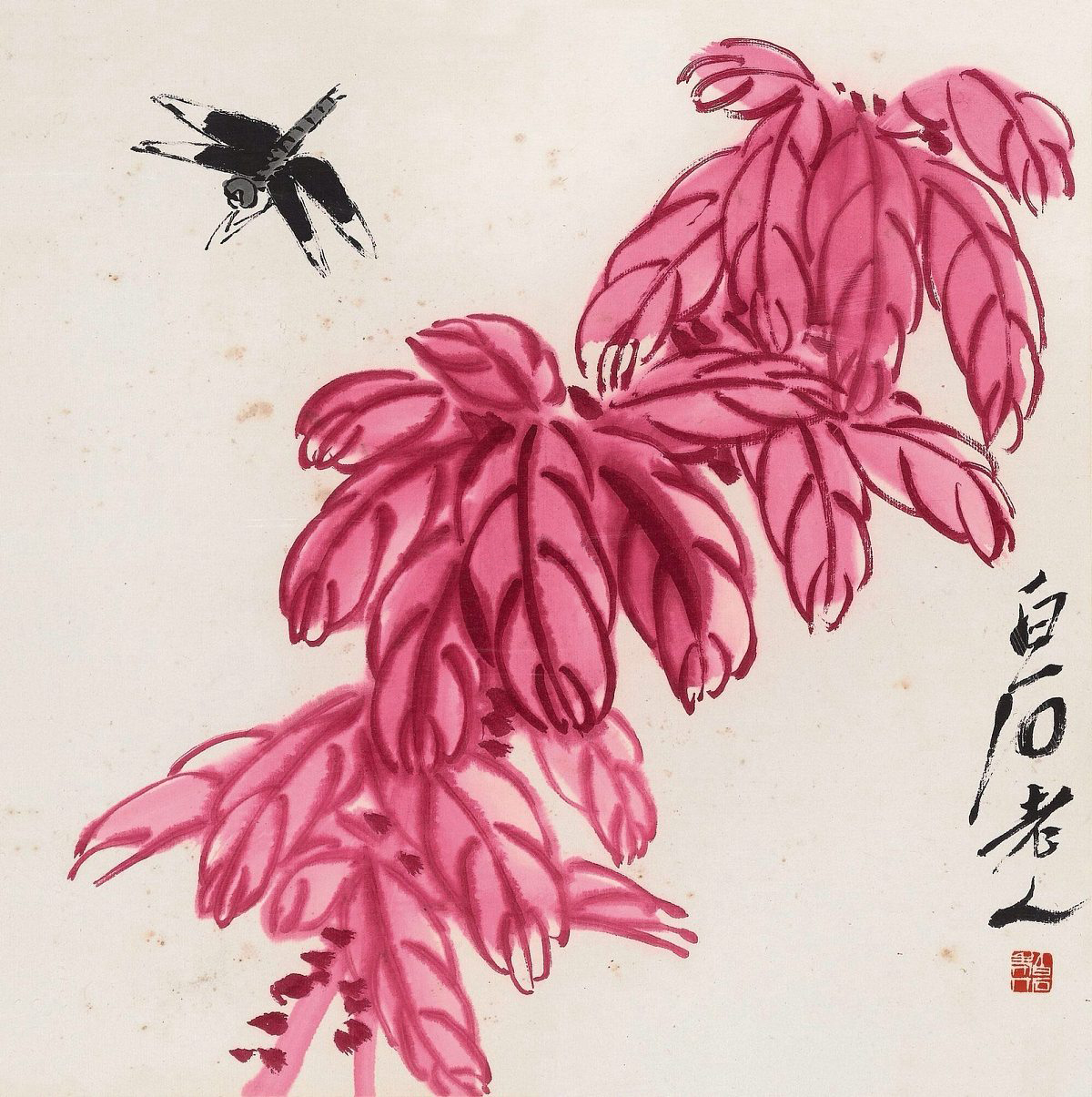 国画里面的雁来红为何美丽而且灵动