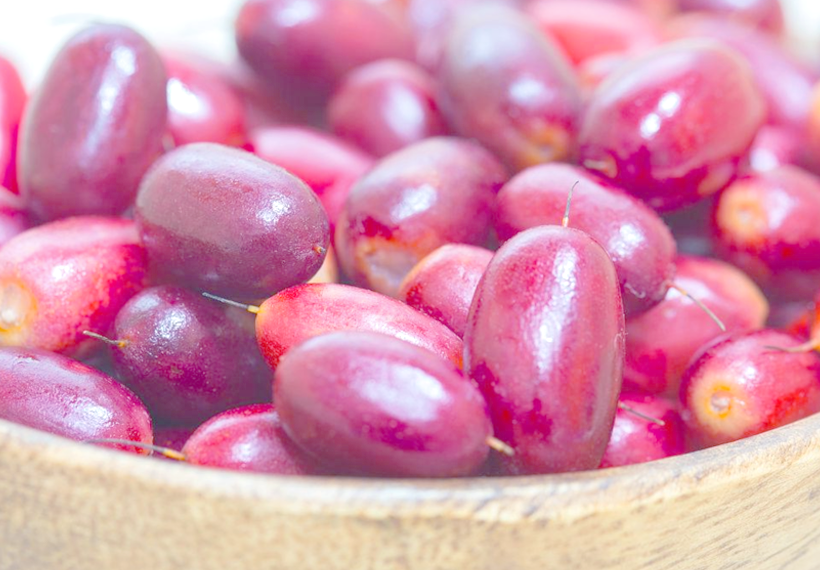 种植指南:探索变味果的种植潜力与市场前景