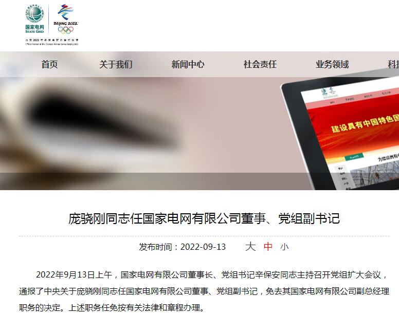 庞骁刚任国家电网有限公司董事,党组副书记