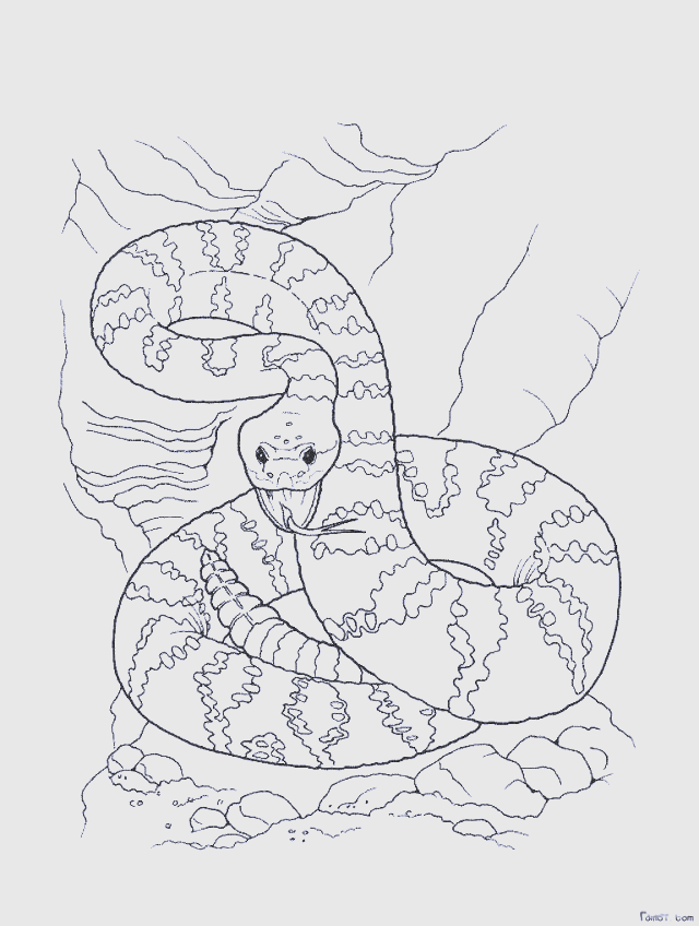 如何画蛇的简笔画?从基础到高级的技巧指南