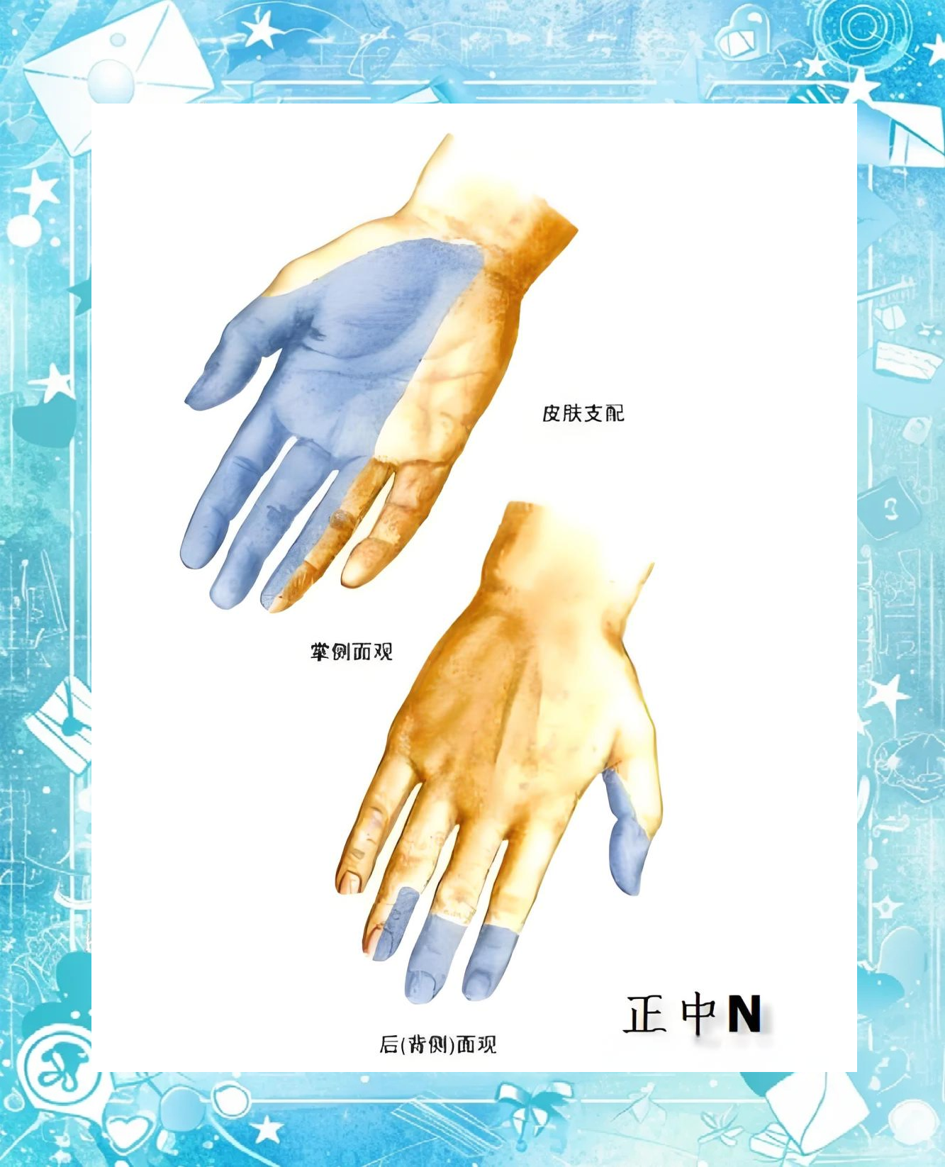 理解旋前圆肌综合征的关键症状与临床评估