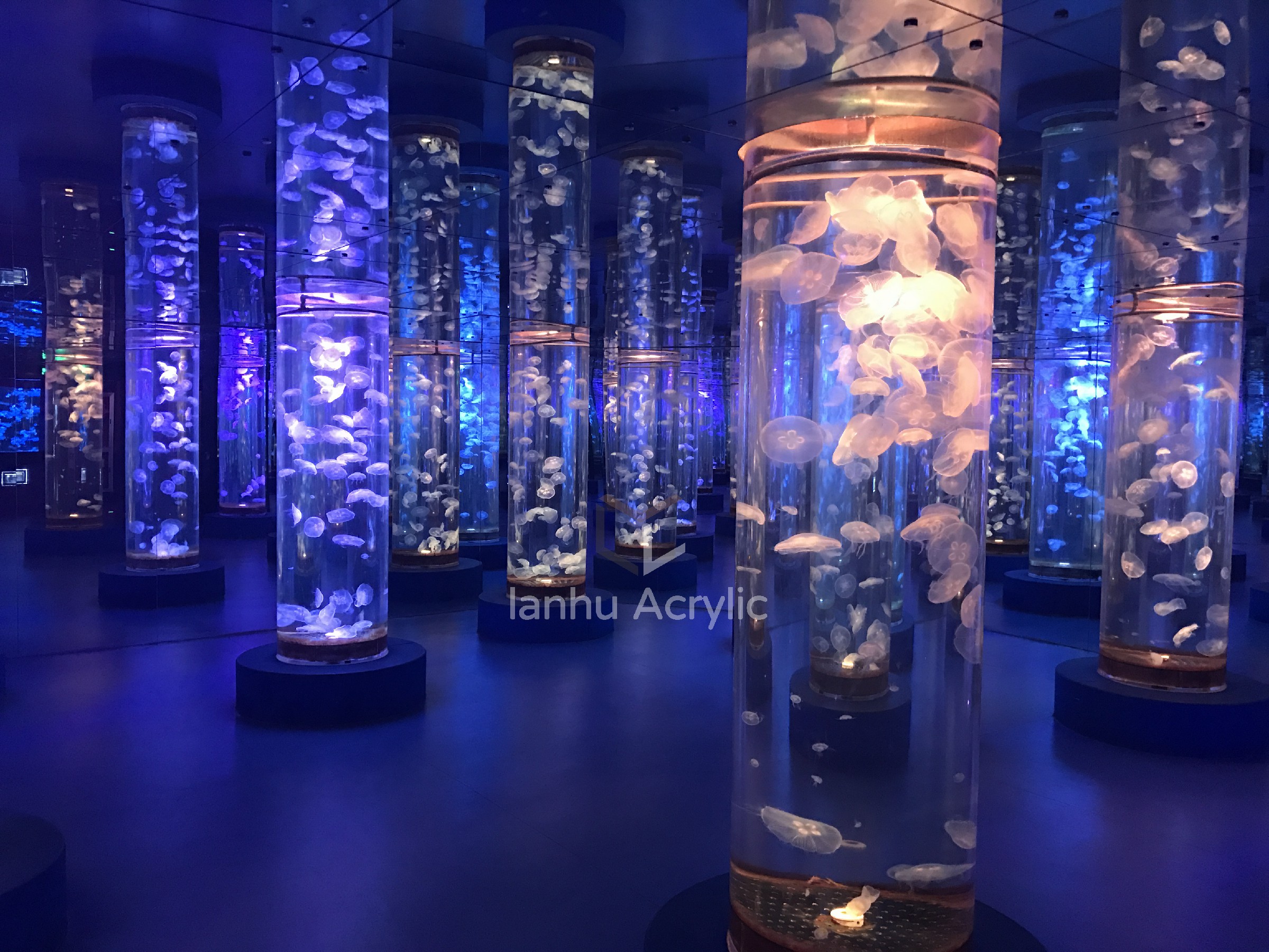 上海圆柱亚克力鱼缸定制