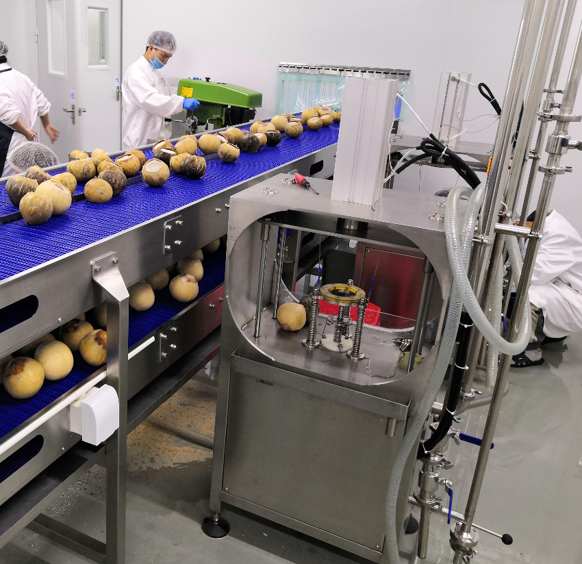 椰皇(椰子)深加工生产线-百科介绍