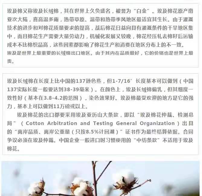 埃及棉被誉为"棉花之王" 按品种分有giza45,giza70 giza86