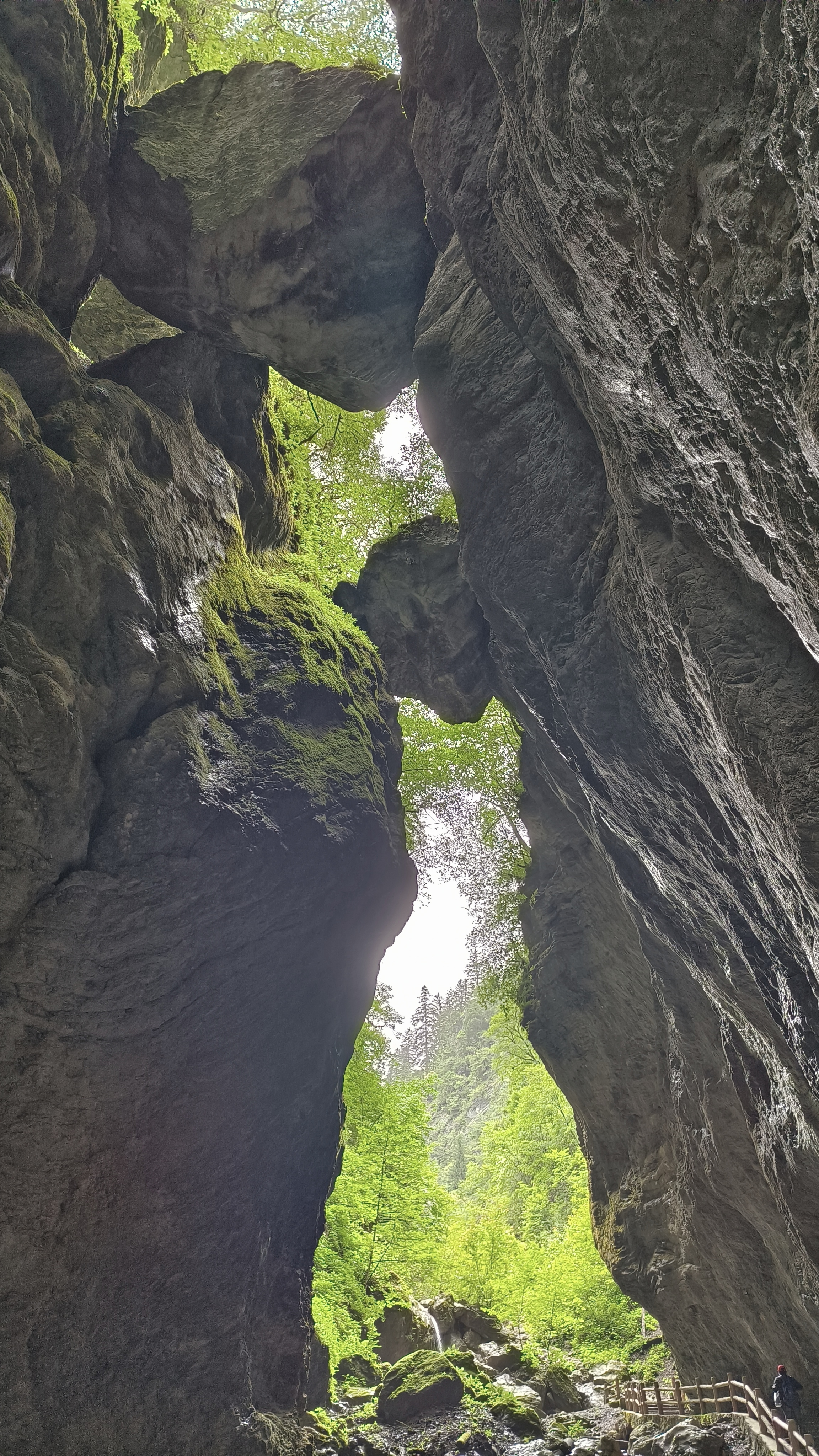 青海甘肃环线游之官鹅沟