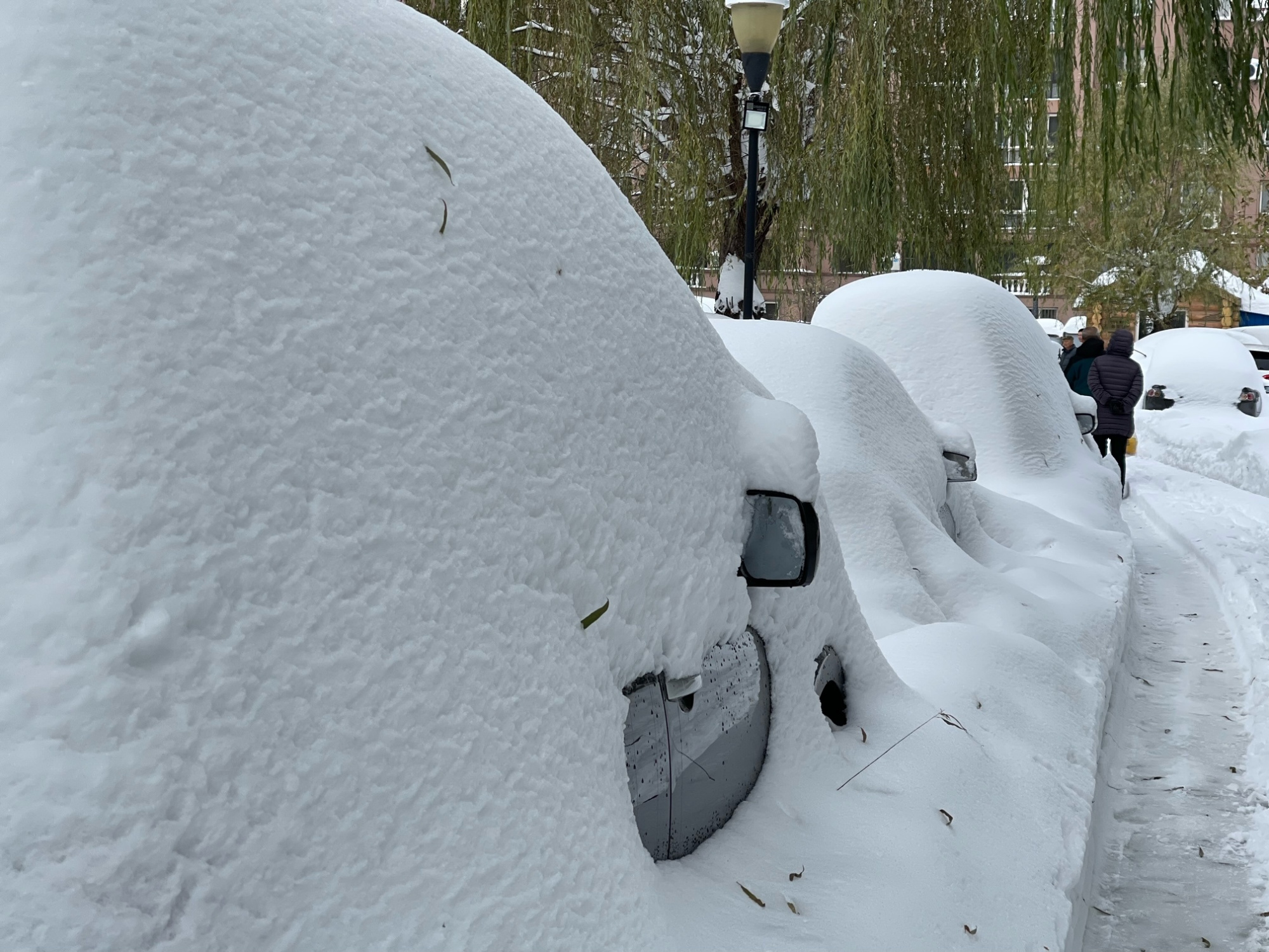 鞍山下雪图片图片