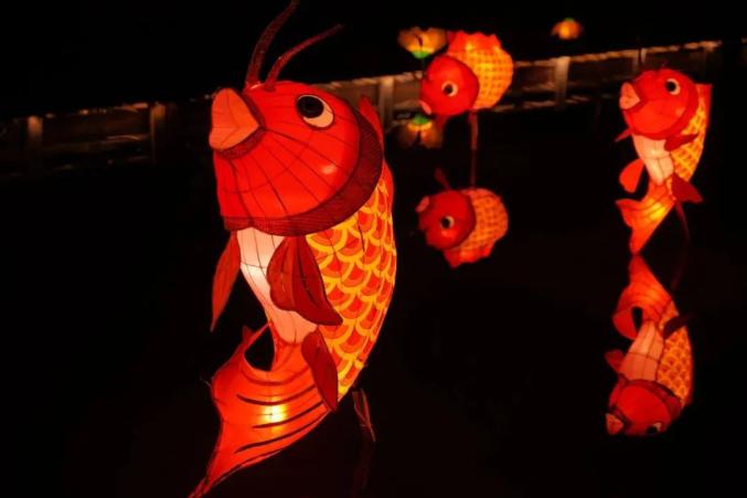 年味渐浓!新会鱼灯亮了!