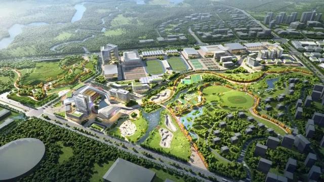 一月双赛 天府奥体公园再办重大赛事