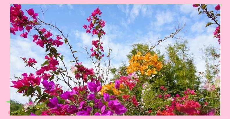 信宜月牙湾:山水交融的休闲度假好去处