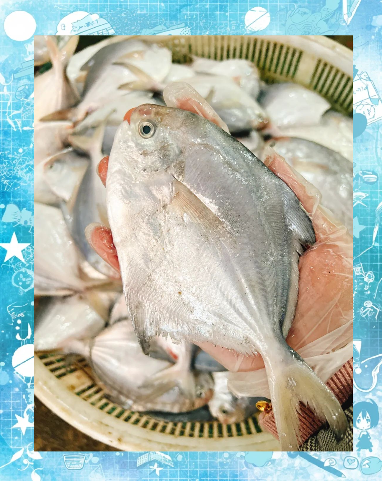 「代理推荐美食」清蒸小晶鱼,肉质肥美,香浓腴润