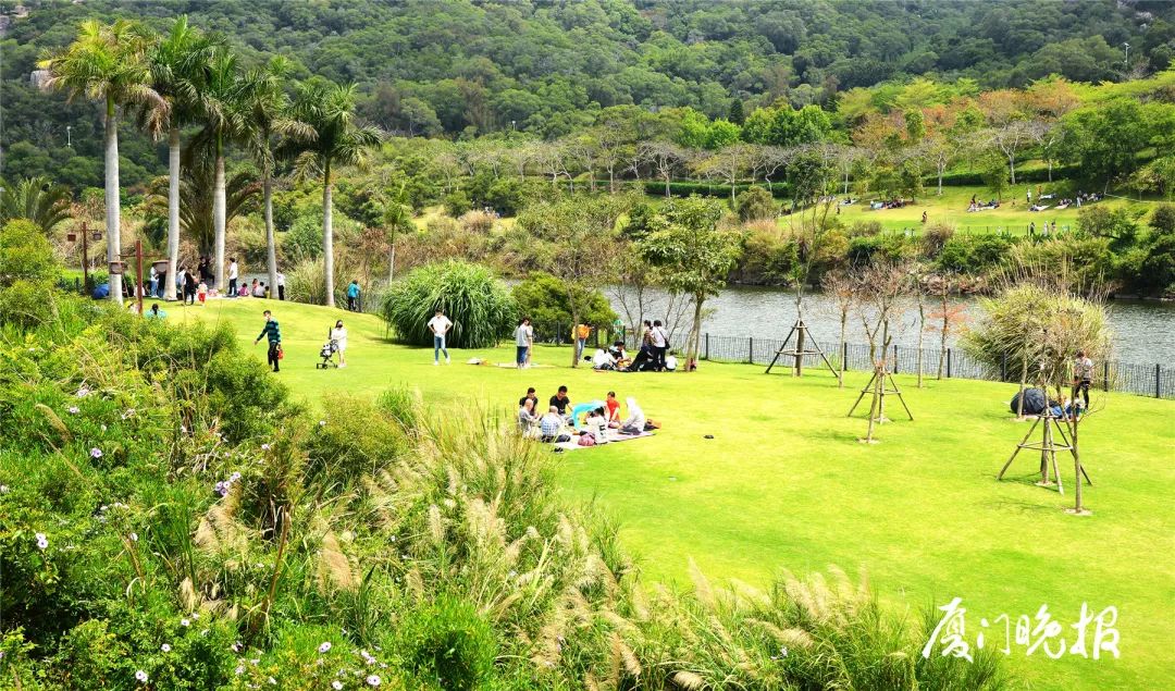 假期来了,快去厦门的草坪体验一次野餐,露营!