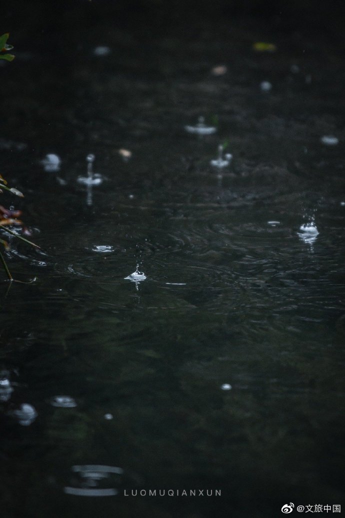 "江南烟雨落,佳人楼台望"