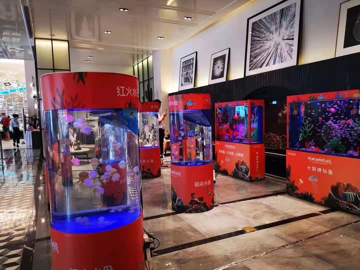 2022新颖创意科普主题展海洋生物展景观赏海洋展租赁服务