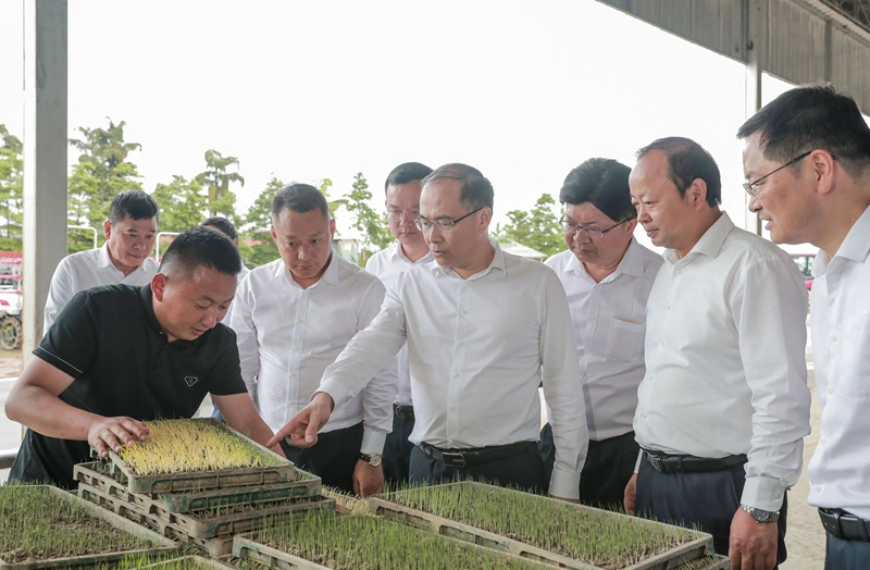 四川省副省长胡云赴邦力达乐天农业公司调研