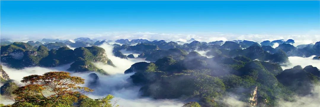 广西龙州弄岗国家级自然保护区风光