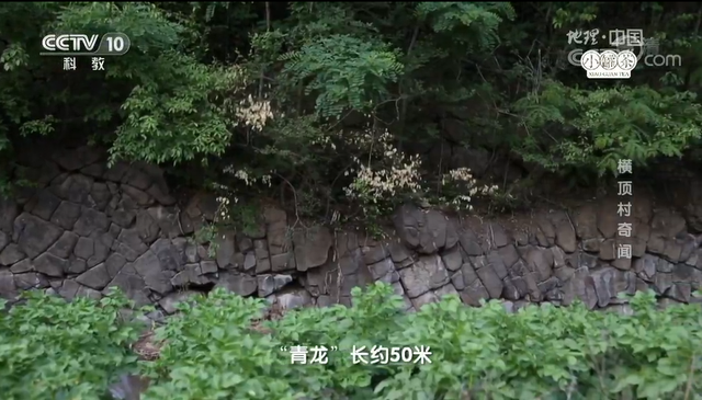 品读莱芜|厚重成书读横顶