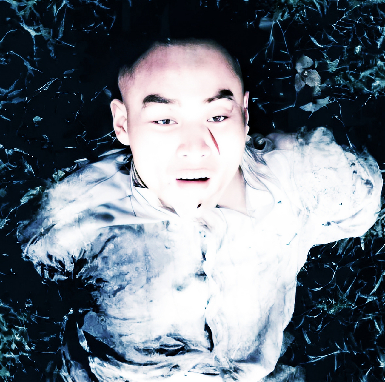 叛徒聂曦,吴石,朱枫和一大批秘密组织被国军逮捕.