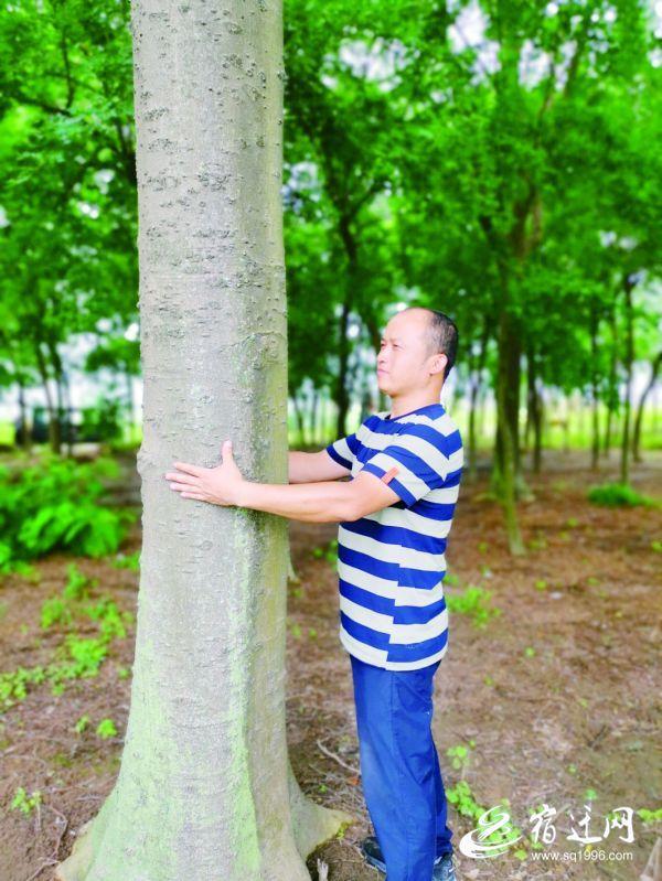 宿迁:能掉下"钱"的一片林子