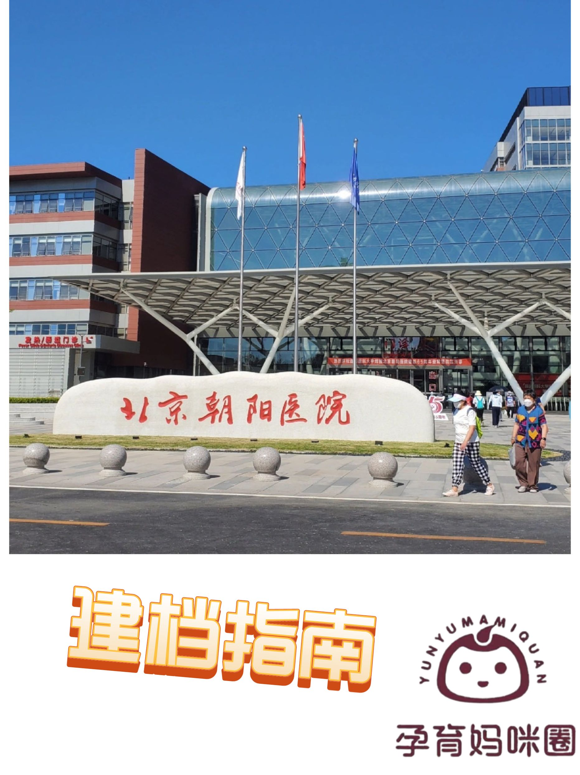 包含朝阳医院全程代诊含挂号老人体检全程引导，有序不慌乱的词条