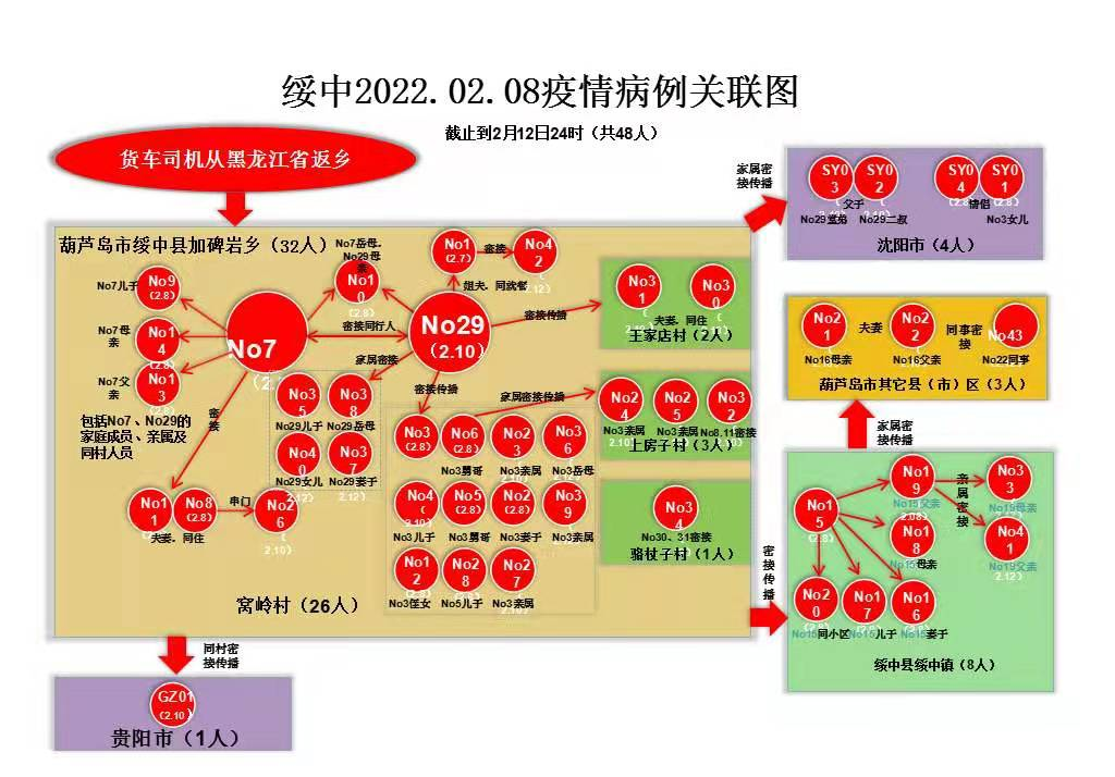 葫芦岛累计确诊43例!绥中02·08疫情病例关联图